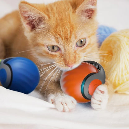 TurboPaw™