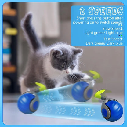 TurboPaw™