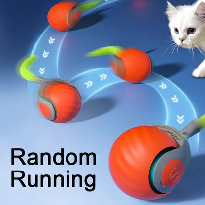 TurboPaw™