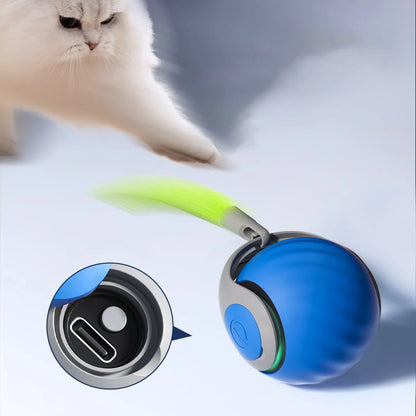 TurboPaw™