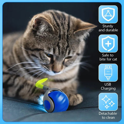 TurboPaw™