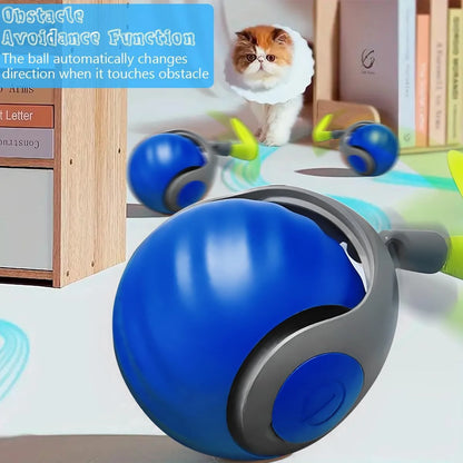 TurboPaw™